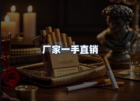 专业团队办公环境
